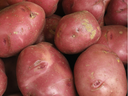 Red Potatoes